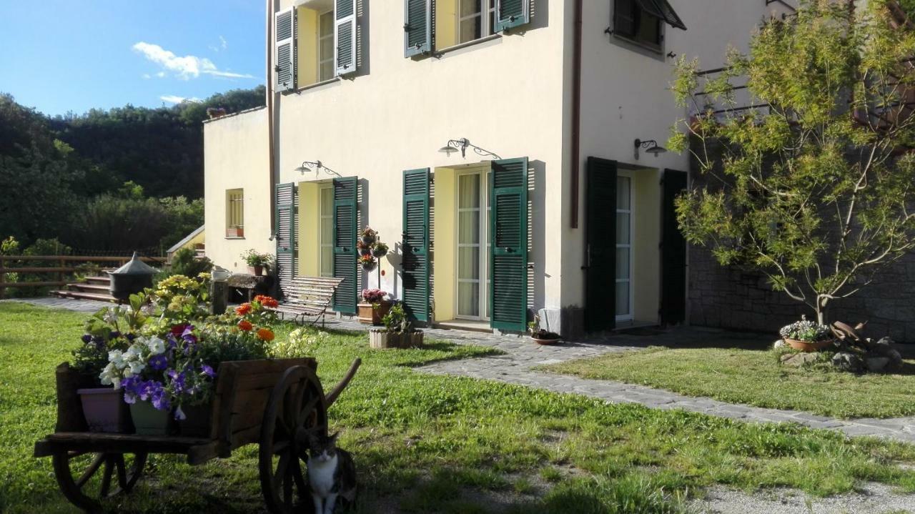 Ca Di Gatti Apartment Ne 外观 照片